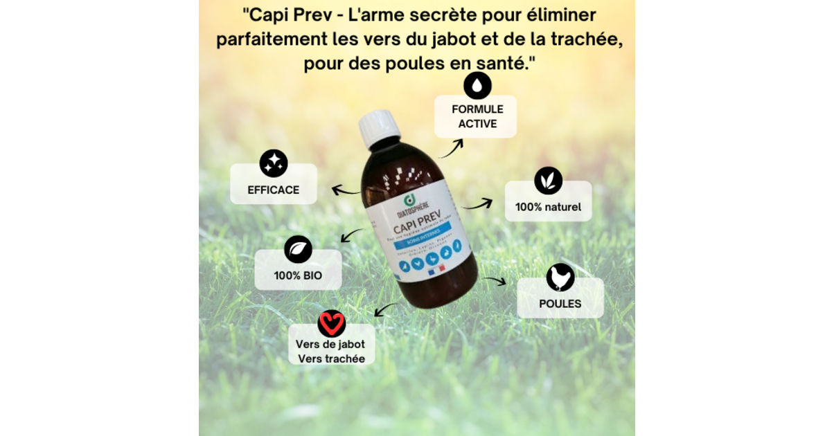 capi prev vers du jabot de la poule